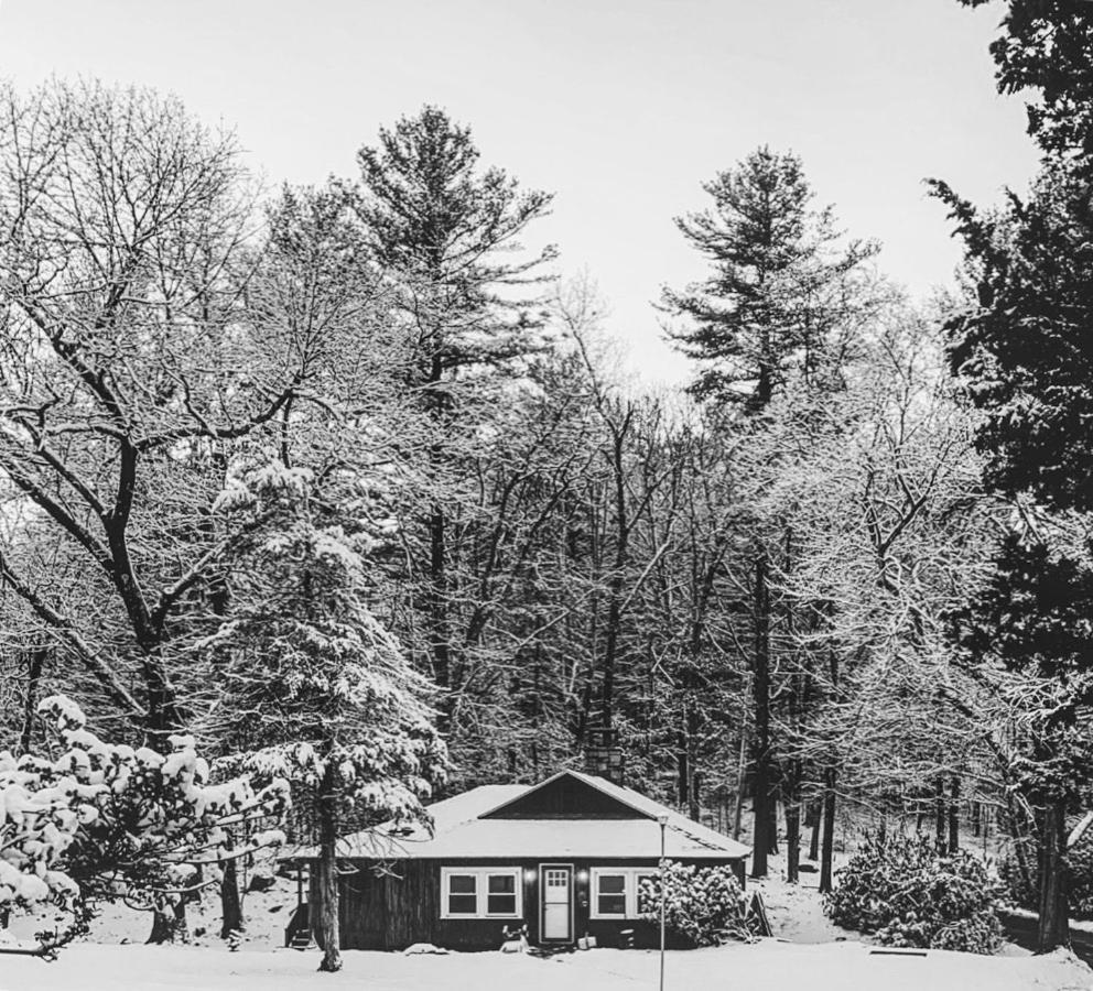 Peaceful Getaway Cottage On Grounds Of Historic Mid-Century Gem Northborough Eksteriør billede